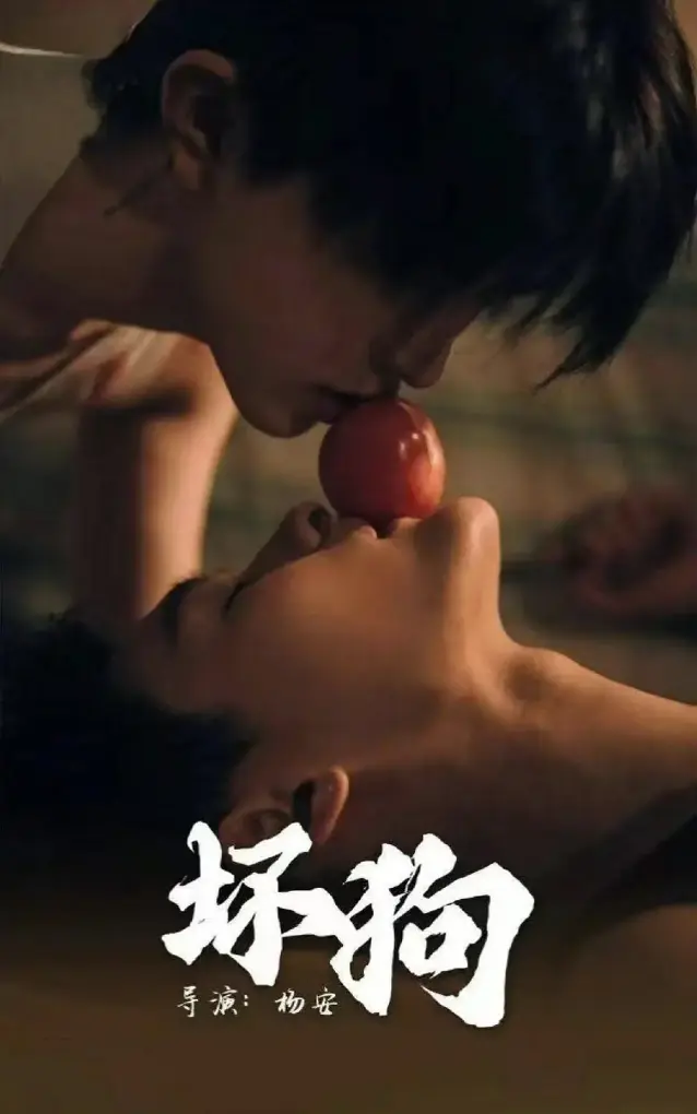《坏狗》全集免费观看-2025爆款短剧《坏狗》1080P高清画质-双男主兄弟情深对决-无删减版无广告在线播放