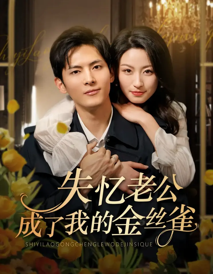《失忆老公成了我的金丝雀》全62集高清免费看-千喆王艺阳主演爆笑短剧-失忆总裁变萌宠甜宠在线观看-网盘资源极速获取