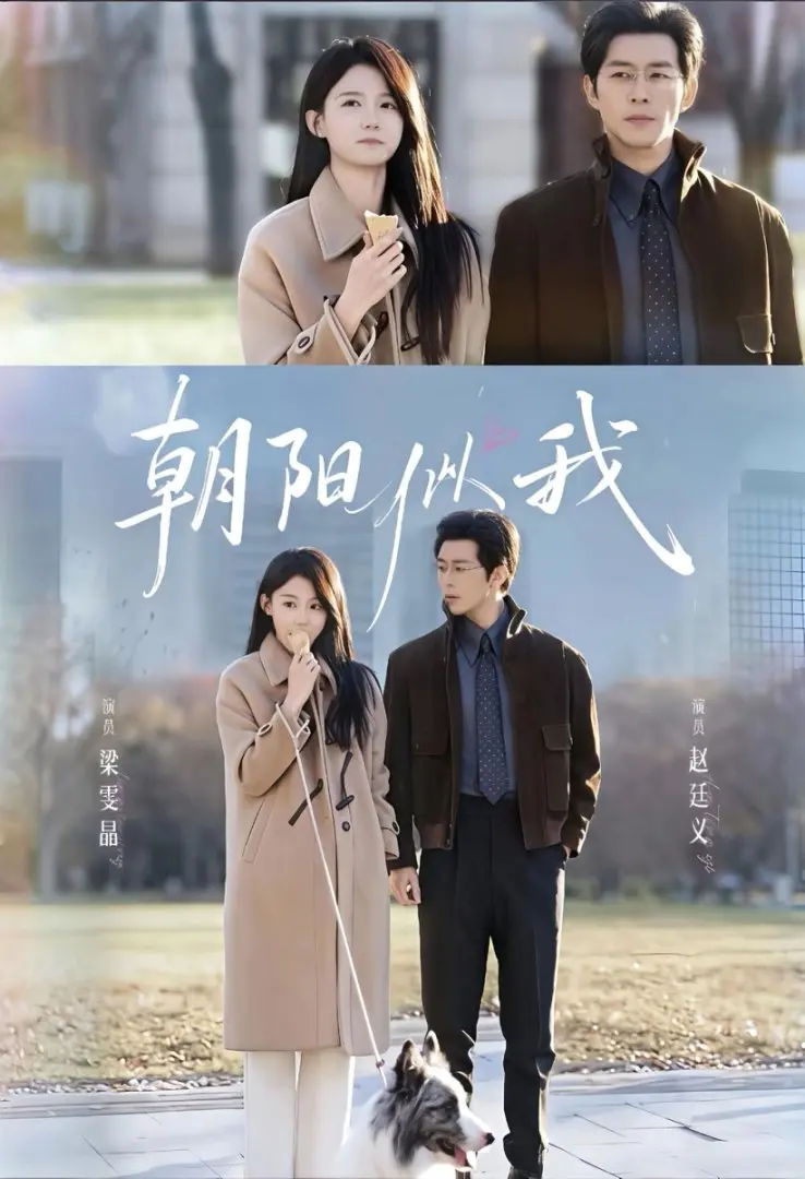 《朝阳似我》1080P高清全集 - 热门短剧无广告免费看 - 未删减版资源分享下载