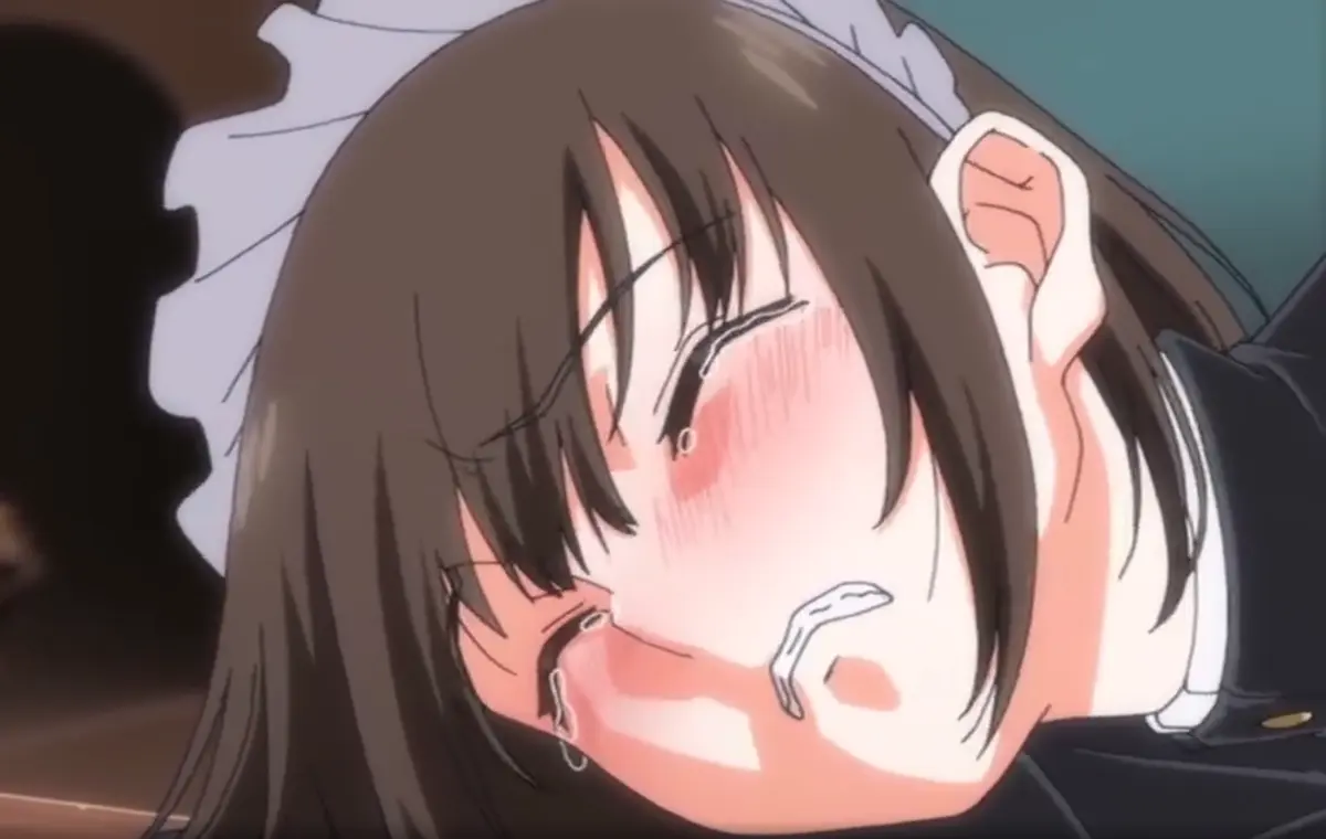 《没落贵族琉璃川2》全季无删减 - 动漫全集高清流畅播放 - 琉璃川椿小野寺律剧情解析