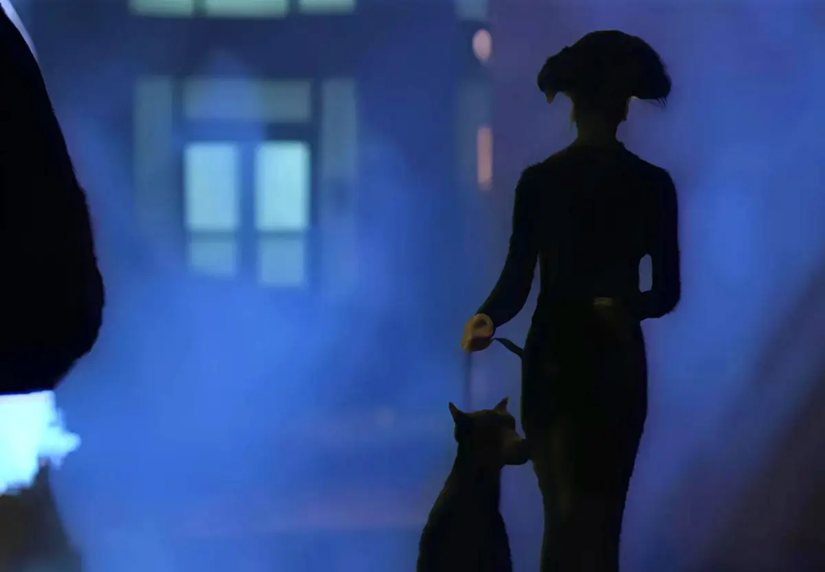 《遛狗者/dogwalker》1994完整电影 - 超清画质无码无删减 - 在线免费观看中文字幕