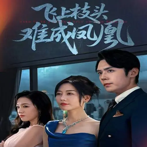 最新短剧《飞上枝头难成凤凰》全集-1-63集高清无删减-免费在线观看无广告资源分享