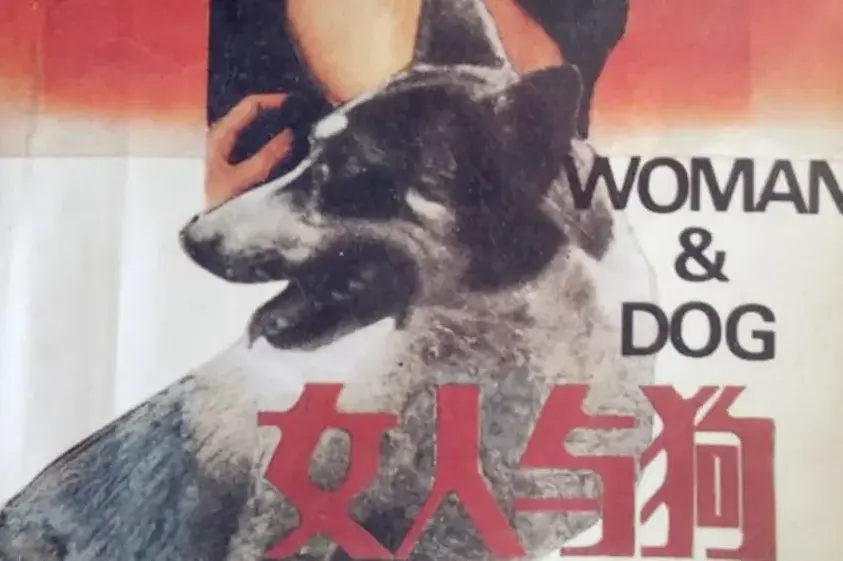 《女人与狗》完整版免费观看-欧美剧情电影《女人与狗》HD高清中字资源-无删减1080P蓝光画质在线播放