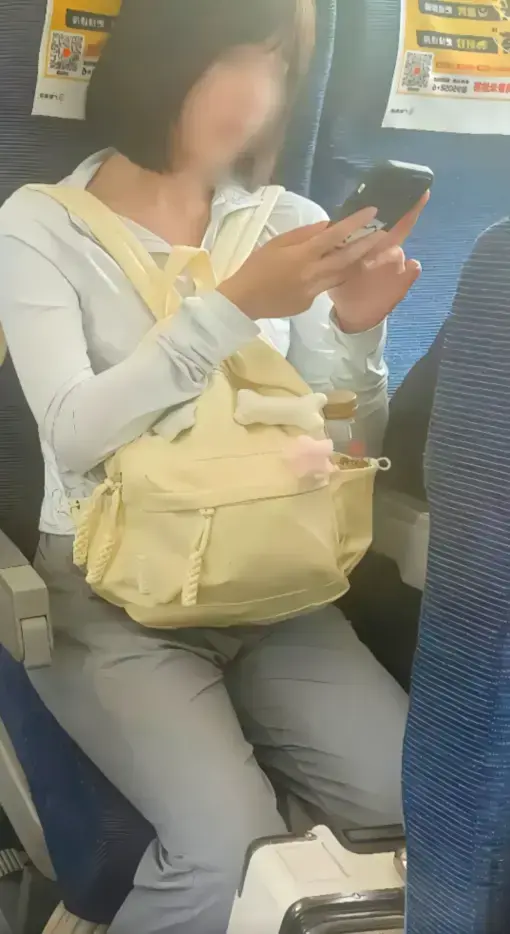 高铁短发女孩原视频54秒完整版-高铁上的妹子视频是什么梗-高清网盘资源下载-百度云/夸克迅雷UC阿里云