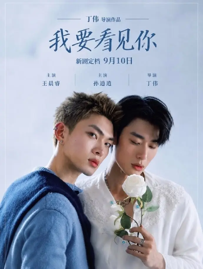《我要看见你》台剧免费在线观看-我要看见你HD中字完整版-2026台湾双男主电视剧-高清迅雷下载