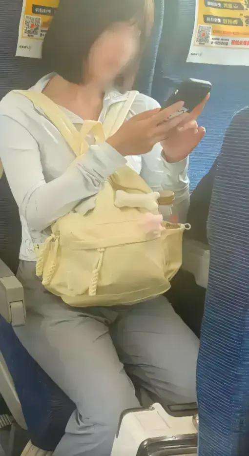 高铁短发女孩54秒原视频完整版在线看-高铁上的妹子梗事件始末-高清资源网盘下载分享