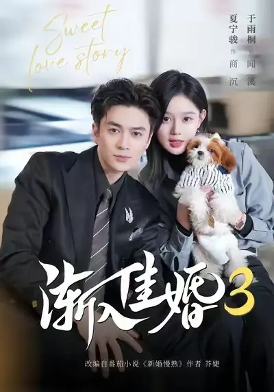 《渐入佳婚3》全季高清在线观看完整版-短剧《渐入佳婚3》全集免费播放-1080P无广告流畅观看-全网同步更新