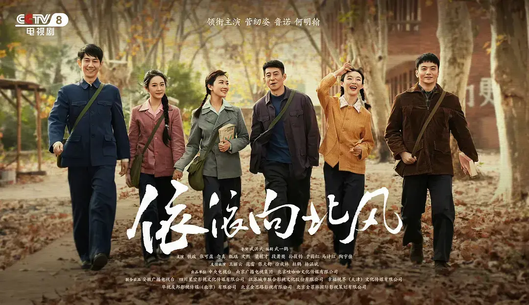 国产电视剧《依依向北风》全集免费观看-高清完整版在线播放-网盘资源下载地址-手机端无广告流畅播放