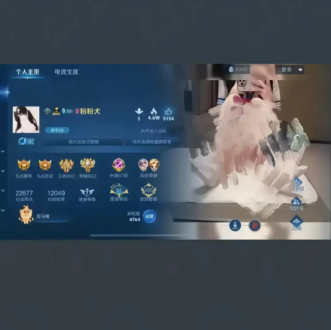 《粉粉犬王者荣耀主页》全视频合集 - 皮肤国标获取方法详解 - 在线观看免费下载资源