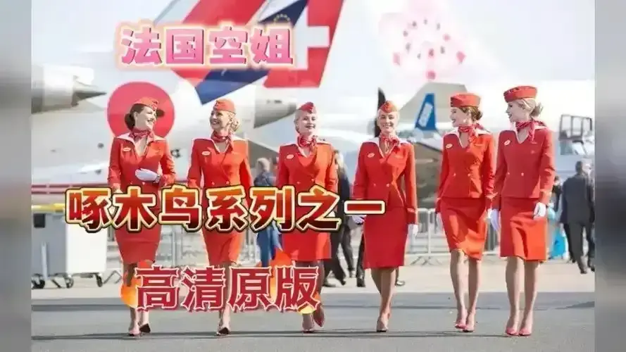 《法国空姐2019/不雅空乘》1080P高清无删减版在线观看-《法国空姐》国语中字完整资源免费播放-空乘职场秘辛情感冲突