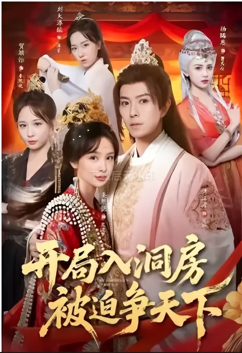 《开局入洞房，被迫争天下》短剧全集播放 - 无广告高清在线观看 - 未删减免费资源