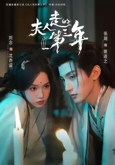 《夫人走的第三年》全季无删减免费看高清-夫人走的第三年完整版在线播放HD-夸克迅雷网盘资源下载
