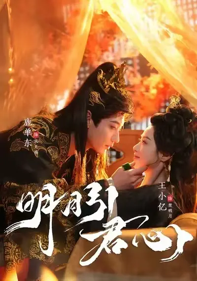 《明月引君心》全剧集免费播放-《明月引君心》高清无广告在线观看-未删减版网盘资源下载