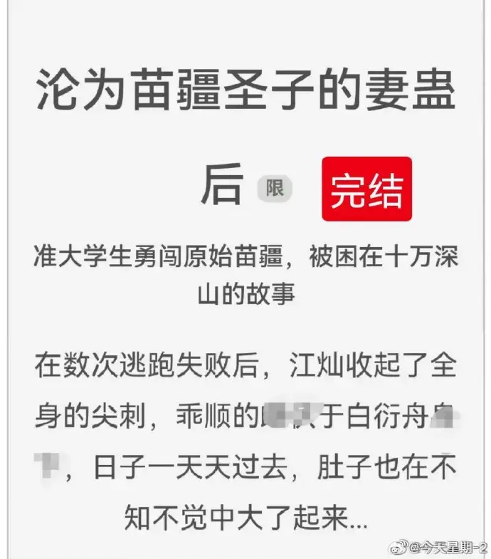《沦为苗疆圣子的妻蛊后》狐狸雨小说全文免费阅读txt下载-沦为苗疆圣子的妻蛊后全集无删减完整版在线看-苗疆圣子妻蛊后全部作品资源分享