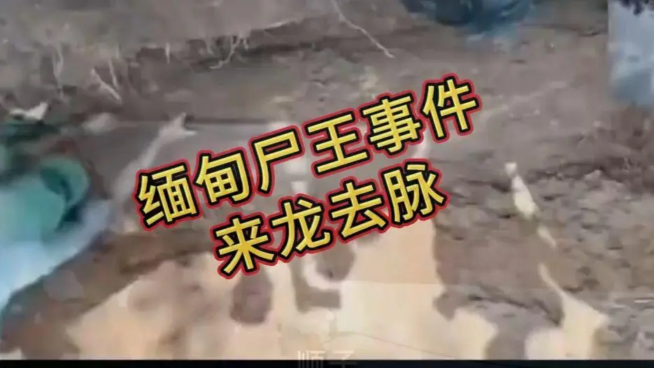 《缅甸僵尸出土事件视频》完整版资源下载 - 诡异真相解密在线观看免费播放 未删减全程录像