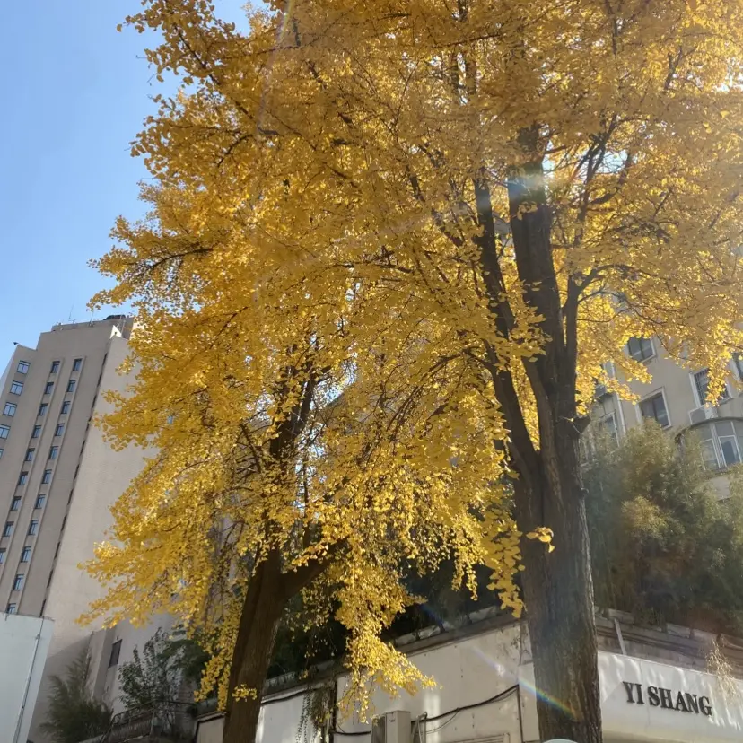 短剧《婚婚逢她》全季无广告免费播-高清HD完整版《婚婚逢她》未删减-在线观看流畅不卡顿+网盘资源下载